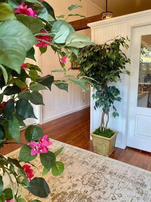 The Shopkeeper'S Cottage ~ Chic! Amador City Eksteriør bilde